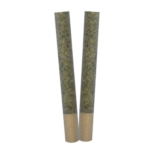 TRYGG Trance 2 X 1G