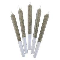 DEALR Dealr : Hell's Retriever Pre-Rolls (5x0.5g)
