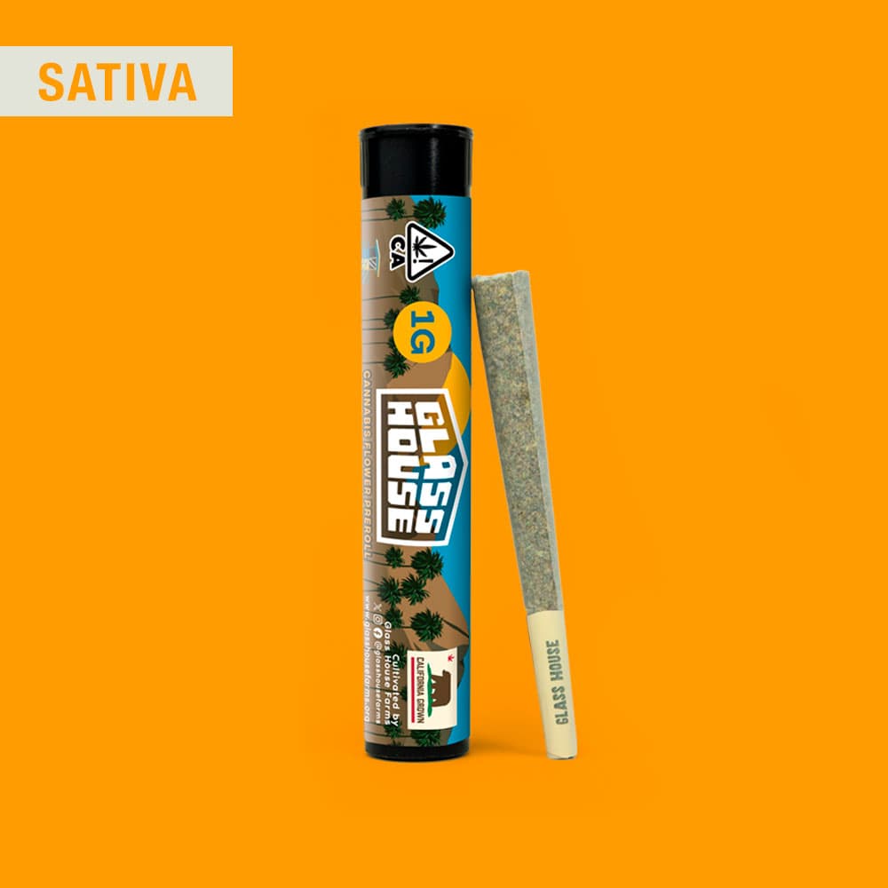 Glass House Farms Scatterbrain Pre-rolls