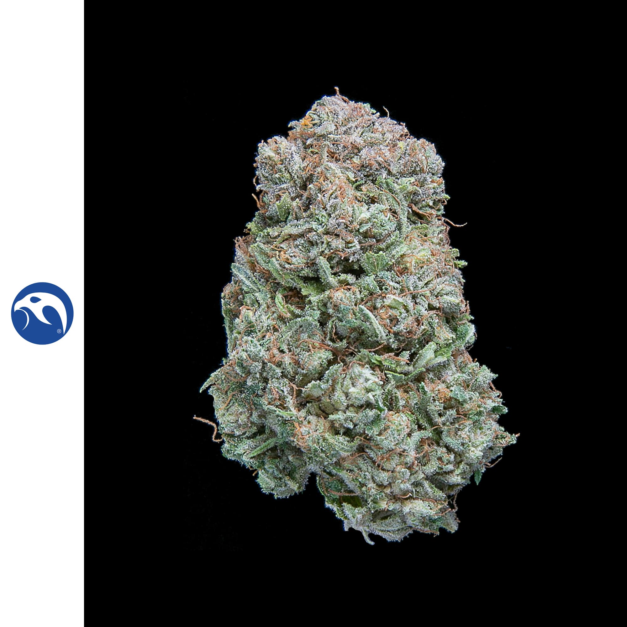 Falcanna Charlotte's CBD