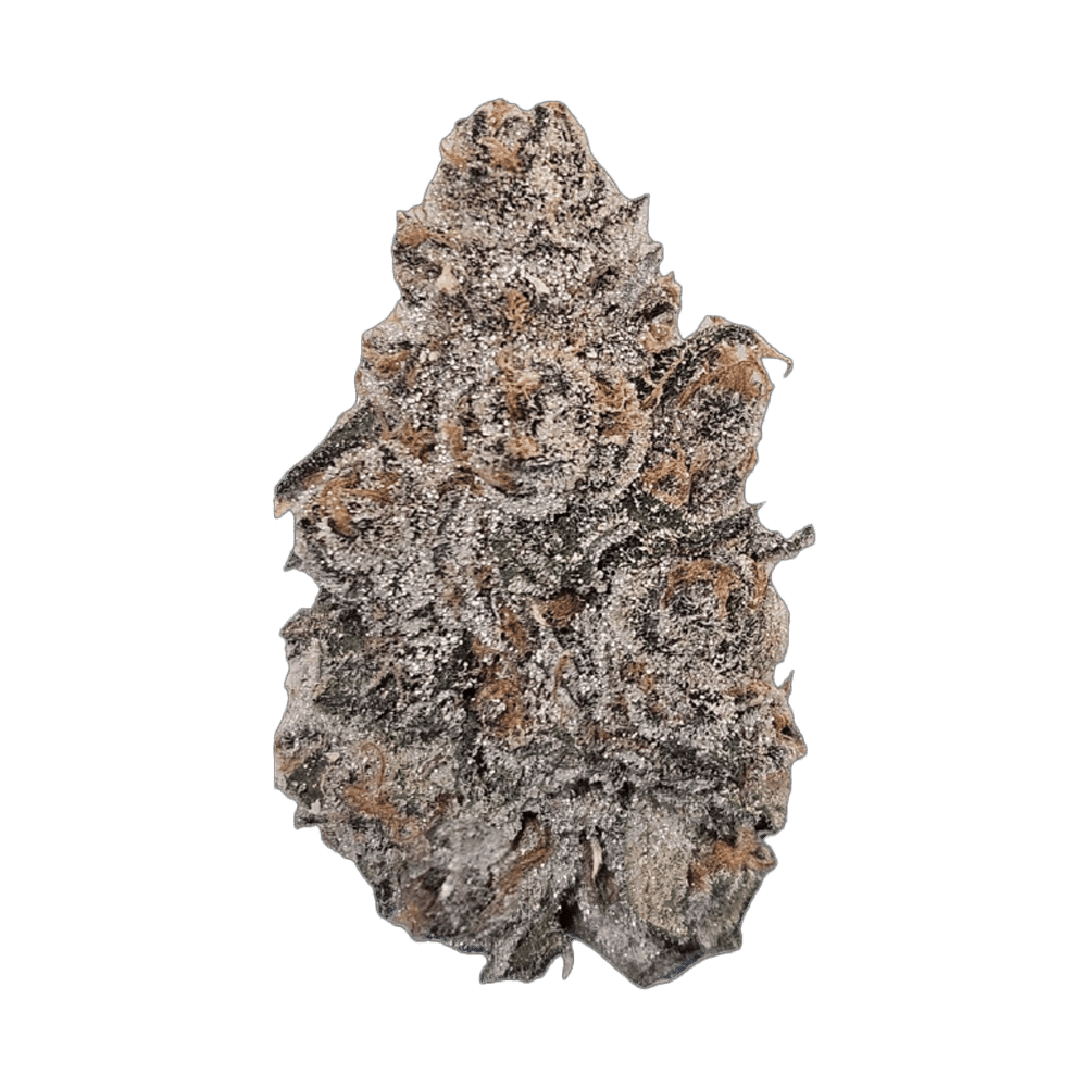 West Coast Gas