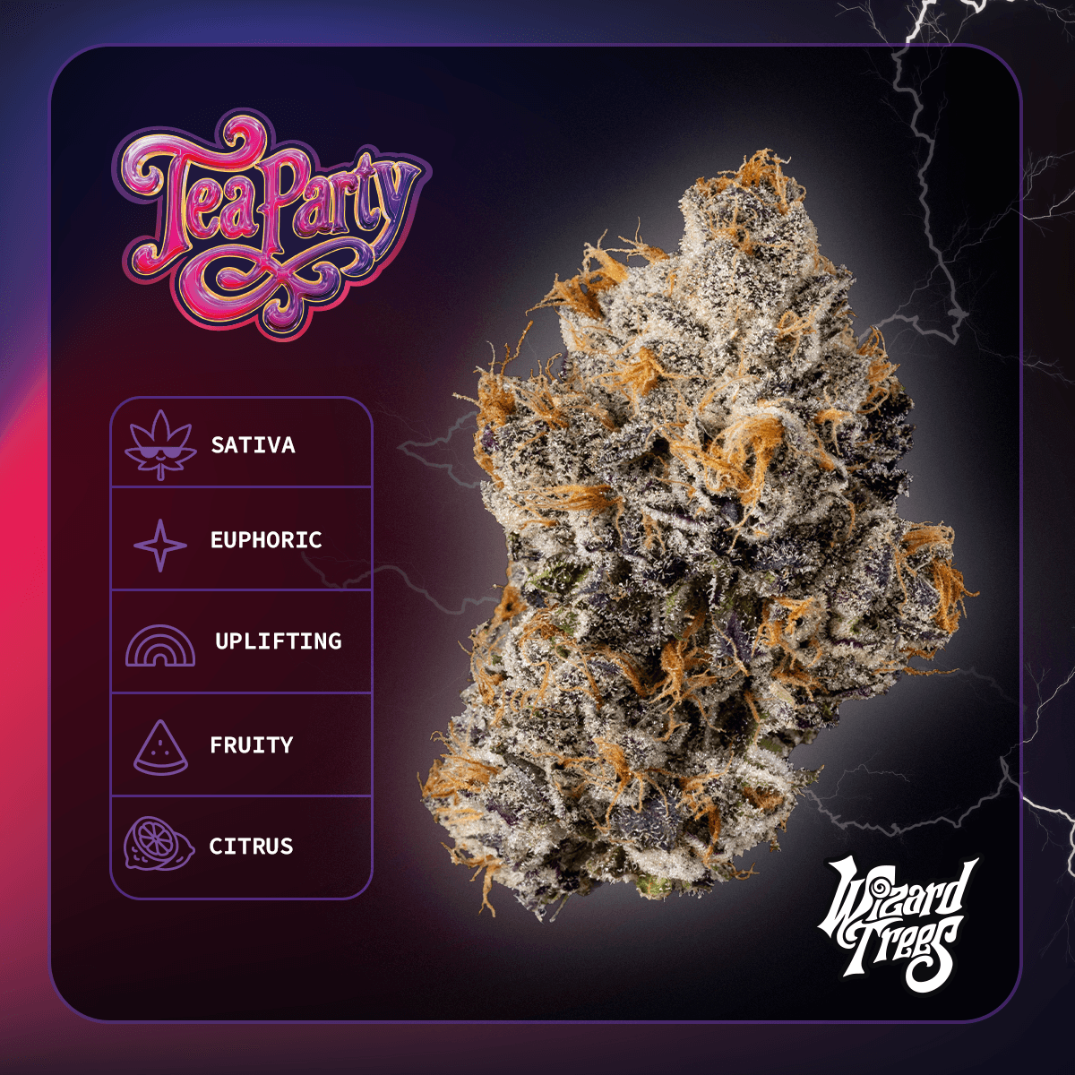 Wizard Trees WIZARD TREES - INDOOR FLOWER - TEA PARTY - 3.5G