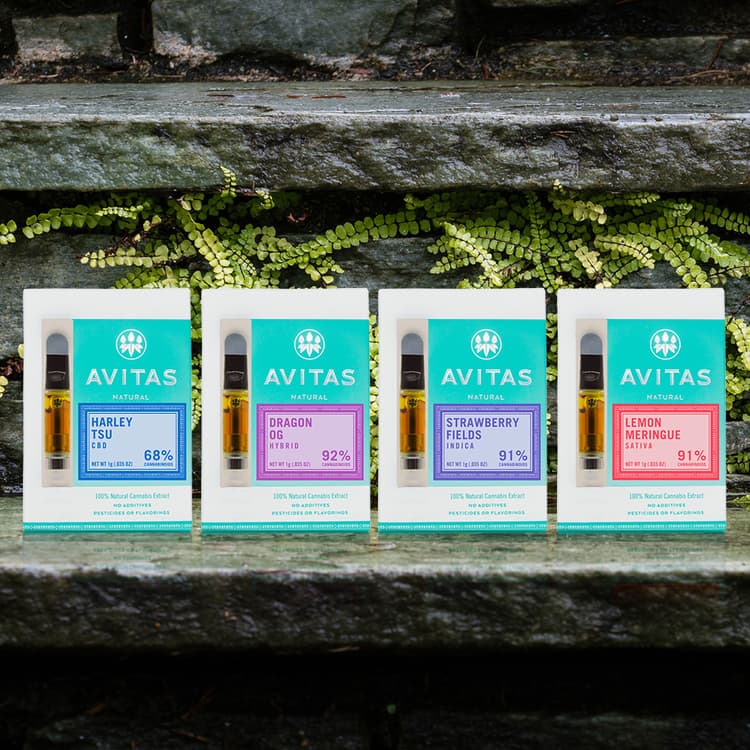 Avitas Melonade