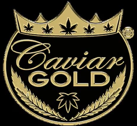 CAVIAR GOLD
