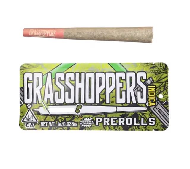 GRASSHOPPERS