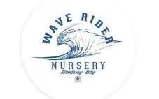 Wave Rider Double Dream | 14g Flower