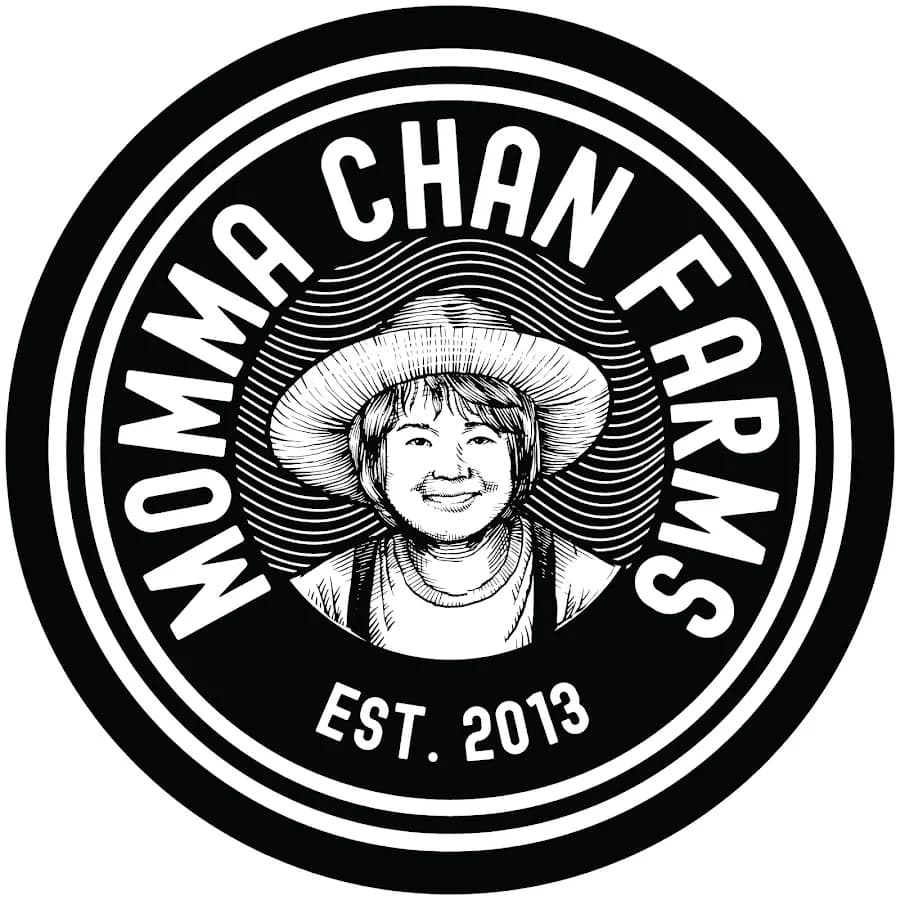 Momma Chan