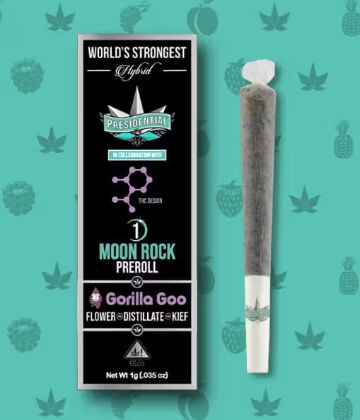 PRESIDENTIAL Gorilla Goo