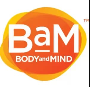 BaM LV Glue