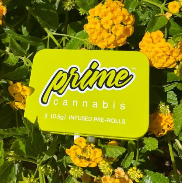 Prime Cannabis Jedi Glue
