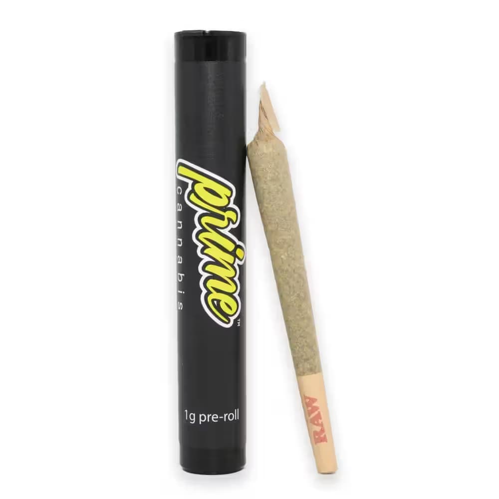 Prime Lemon Daze