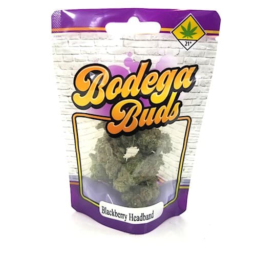 Bodega Buds Blackberry Headband