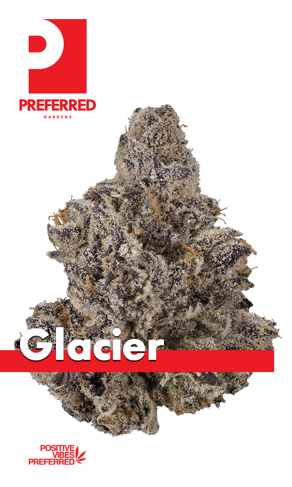 Preferred Gardens Glacier | 3.5g
