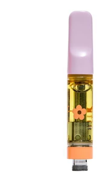 Edie Parker Lemon Watermelon Disposable
