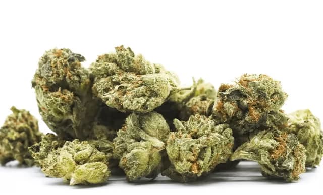 FloraCal Farms