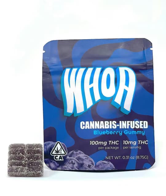 WHOA Blueberry | 100mg Gummy