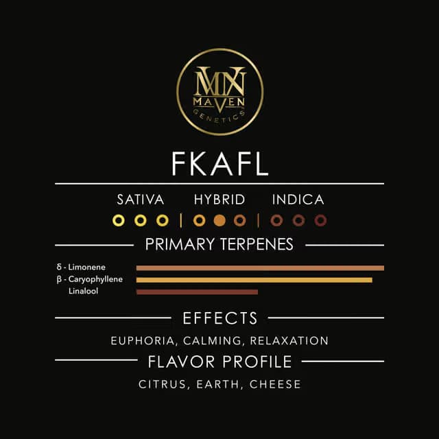 Maven Genetics FKAFL | 3.5g