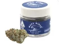 WAVE RIDER NURSERY OG Kush | 1.2g Rosin Infused Preroll