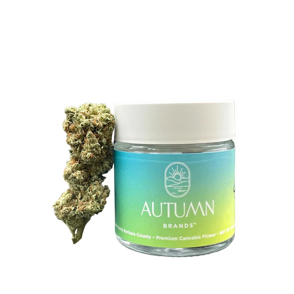 Autumn Brands Mango Haze