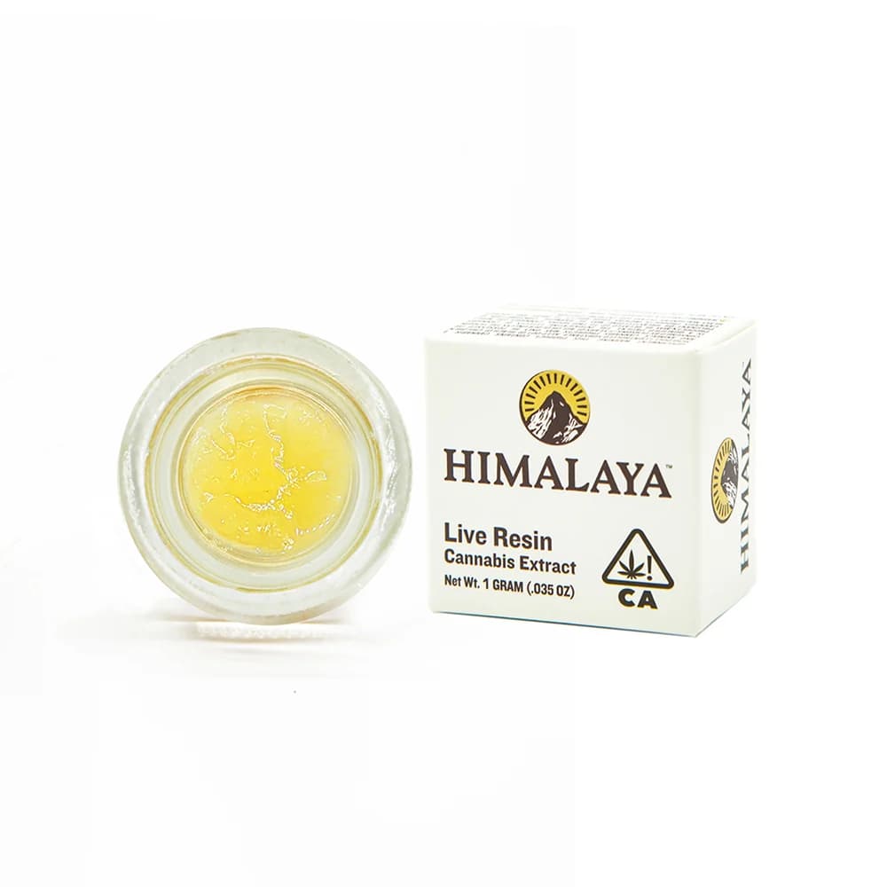 Himalaya Cheetah Piss