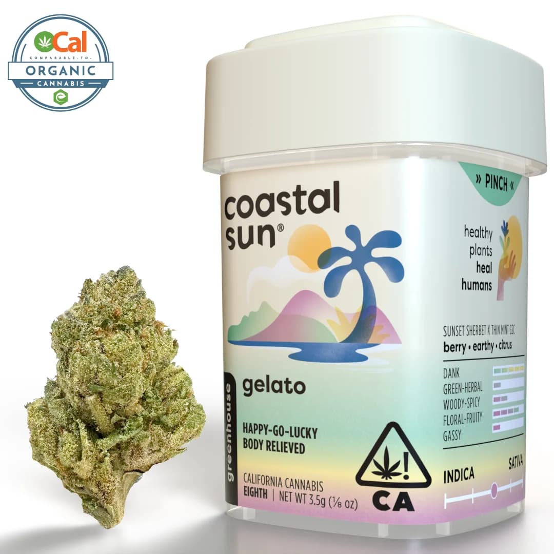 Coastal Sun Gelato | 3.5g