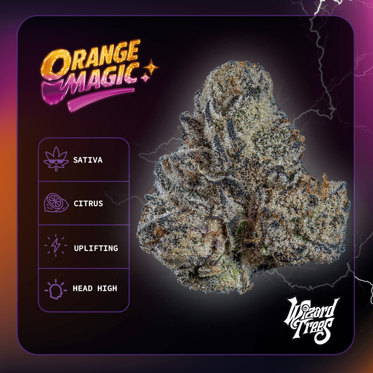 Wizard Trees INDOOR FLOWER - ORANGE MAGIC - 3.5G