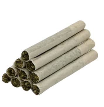 TRYGG Hawaiian Punch Pre-Rolls - Sativa - 10x0.4g