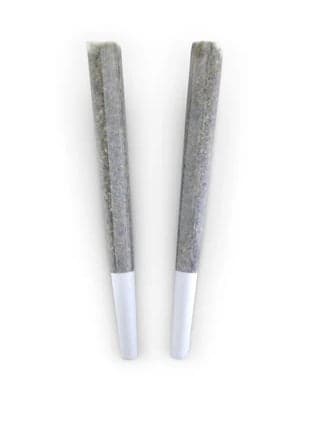 BC Doobies BC Doobies : JADE DRAGON PRE-ROLLS (2 x