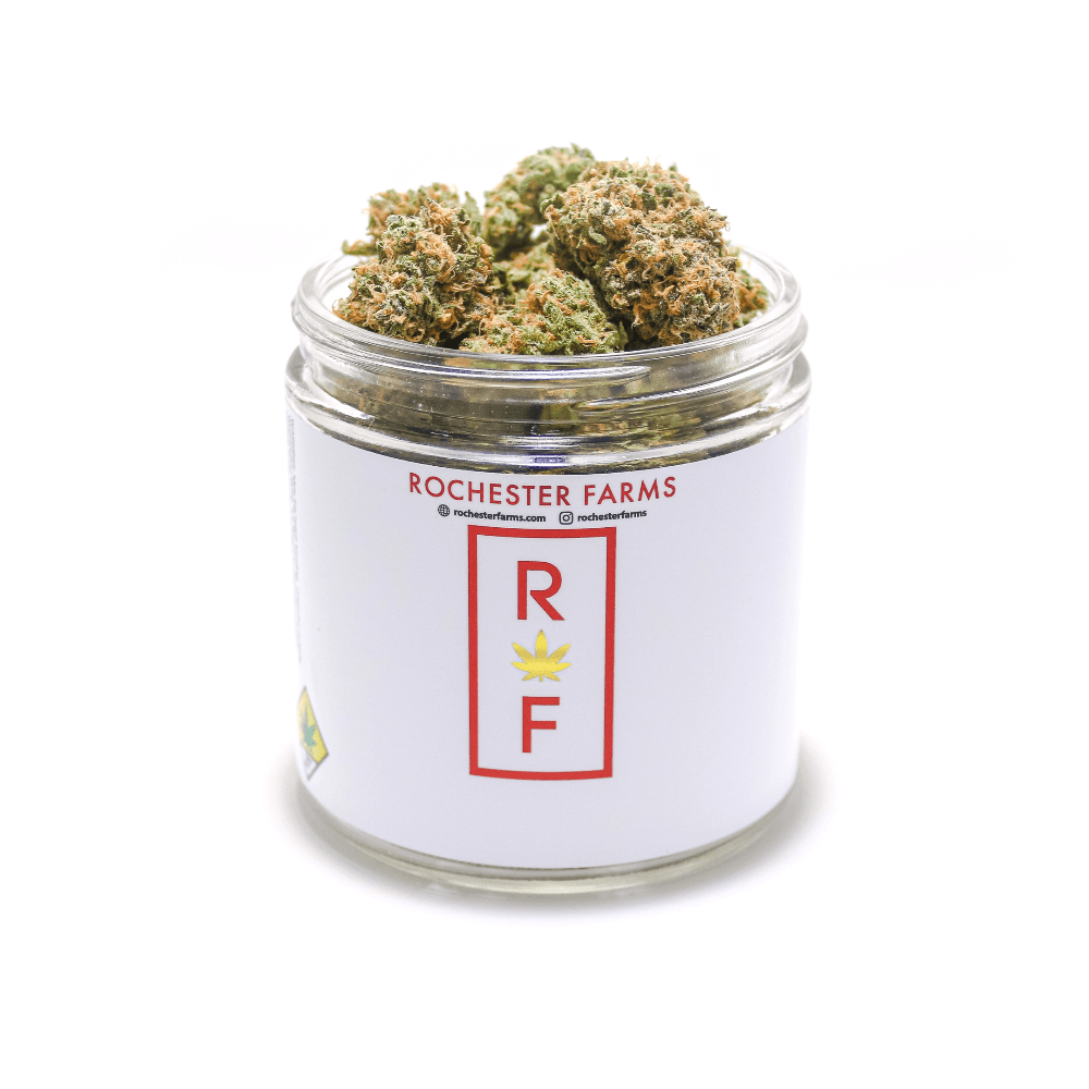 Rochester Farms Drip Station