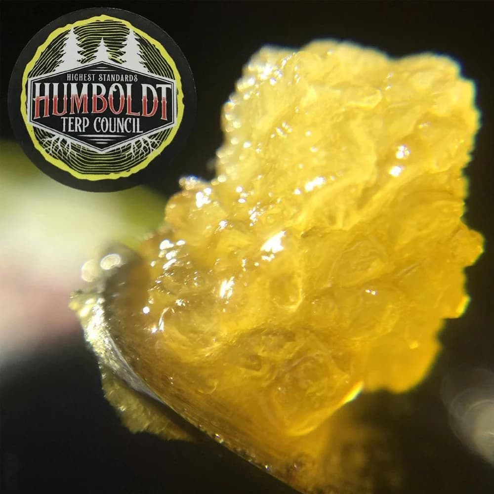 Humboldt Terp Council