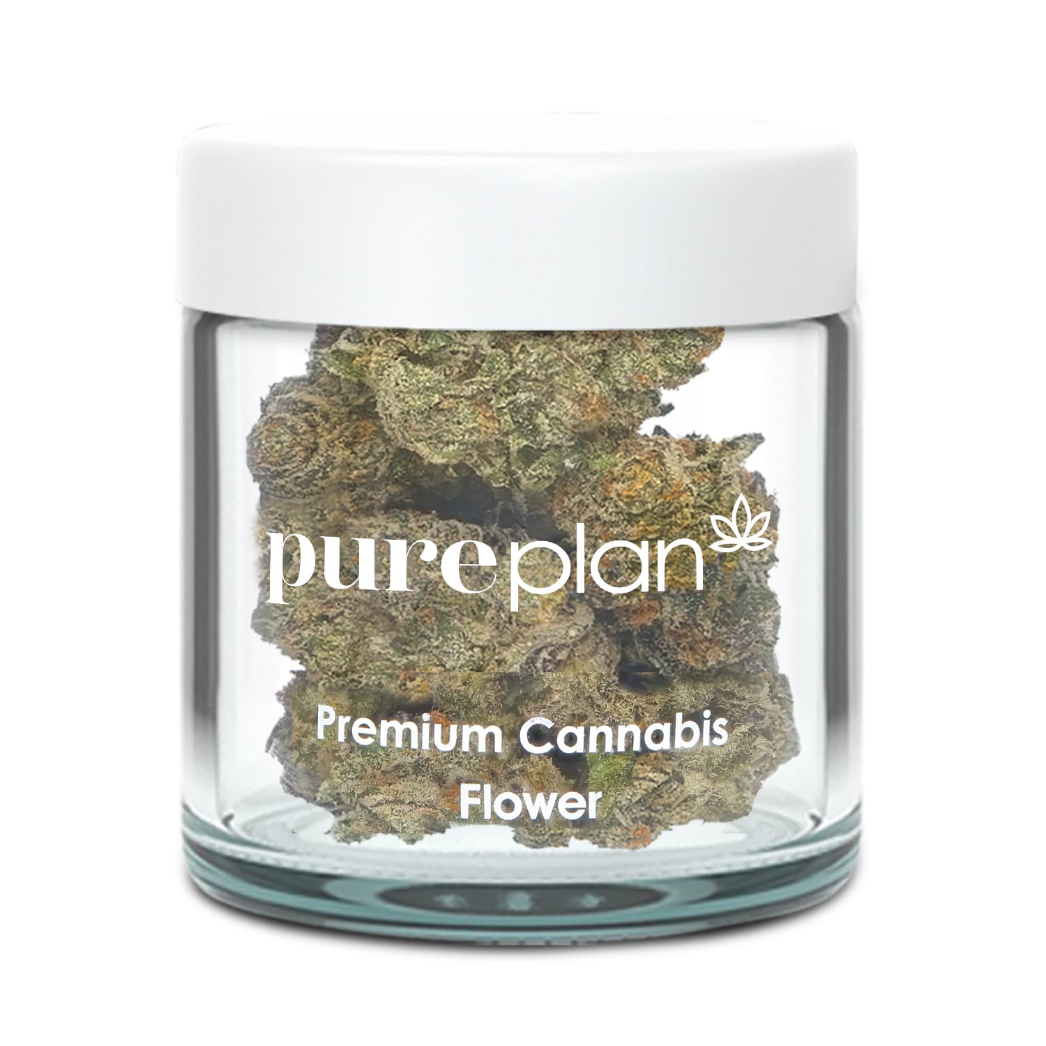Pure Plan Key Lime Tajin | Tops Flower | 3.5g