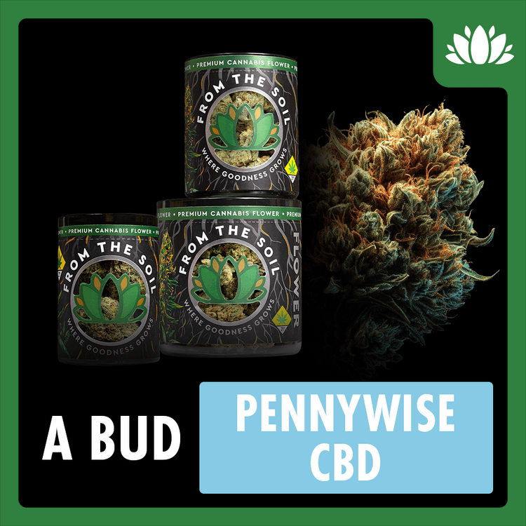 From The Soil Pennywise CBD | Flower | Indica Hybrid | [2g]
