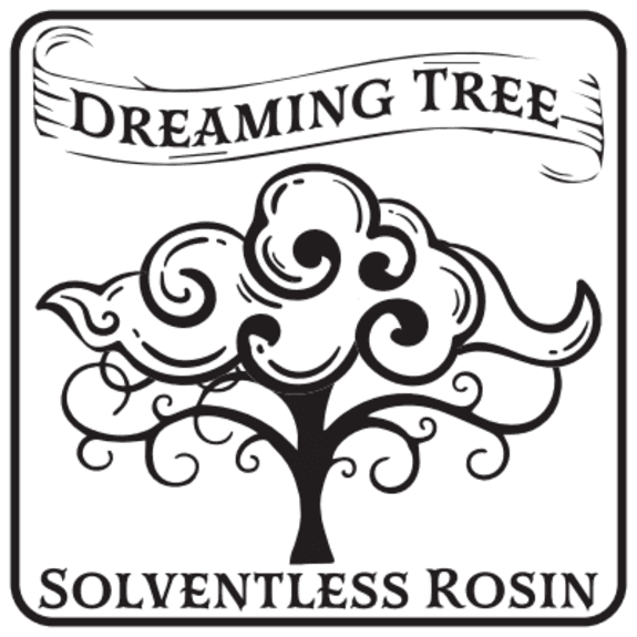 Dreaming Tree