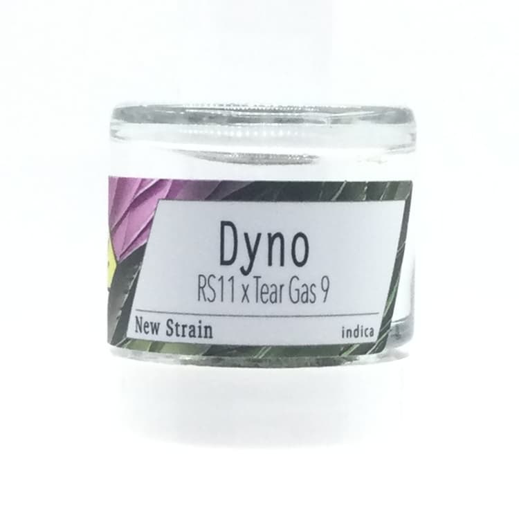 Fifty Fold Dyno