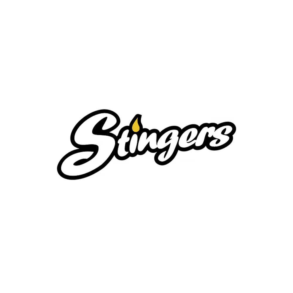 Stingers Lunar Lander