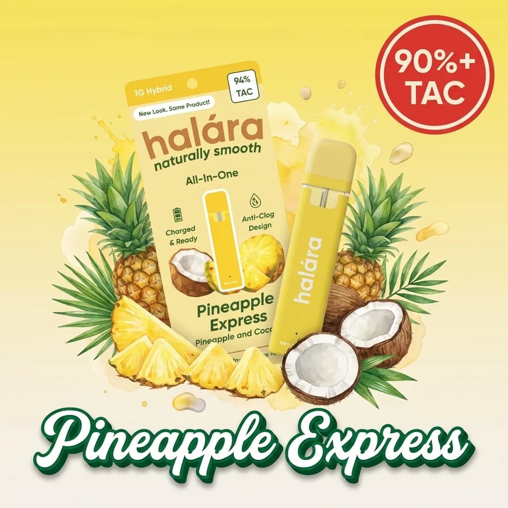 Halara Pineapple Express AIO