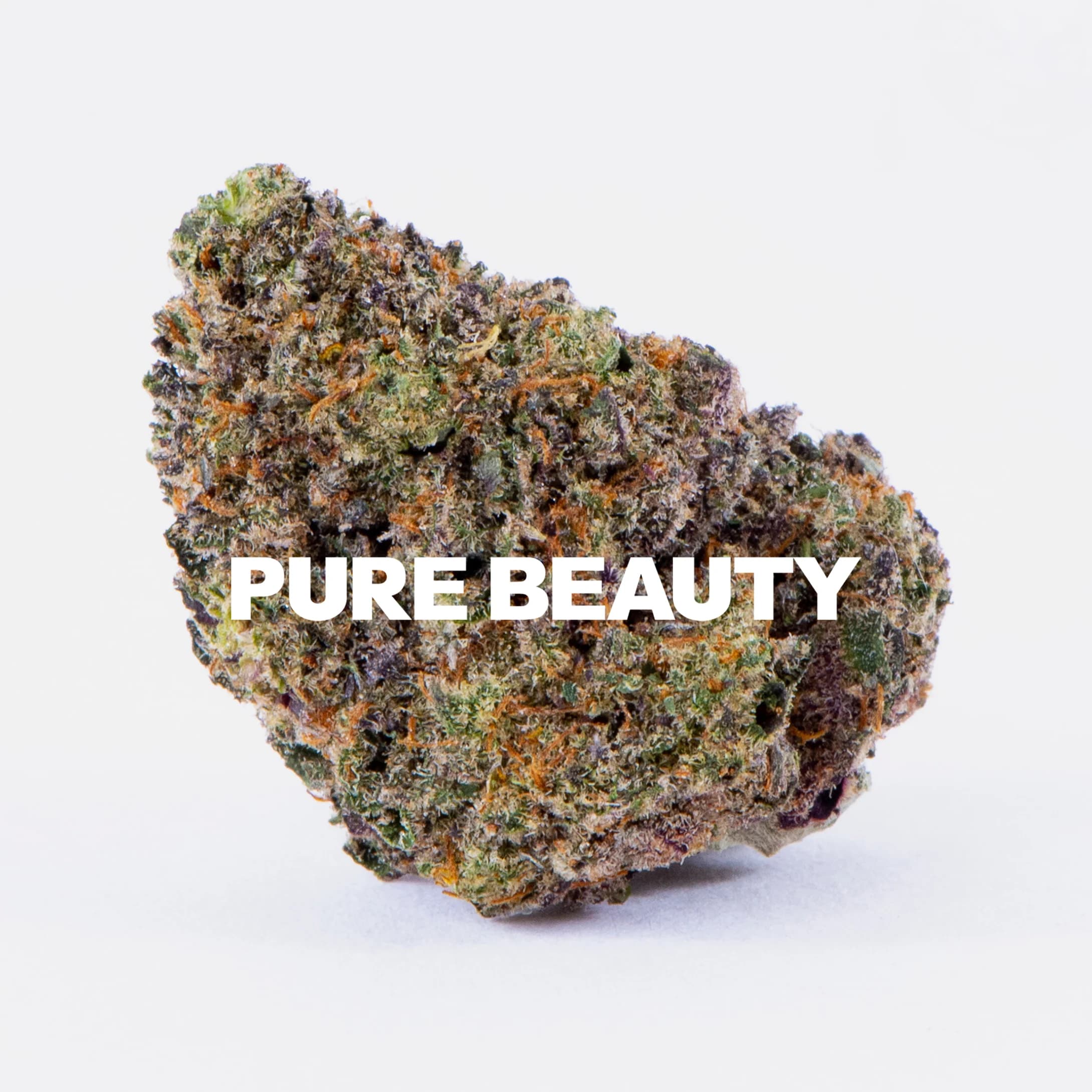 Pure Beauty 2:1 Terry T x Gelato 33 CBD