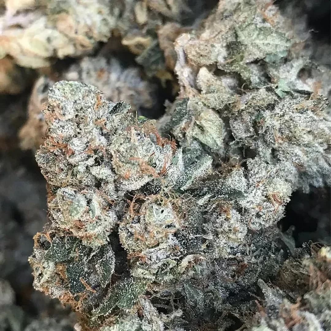 Nameless Genetics Smacks | 3.5g