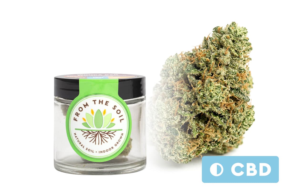 From The Soil CBD Pennywise