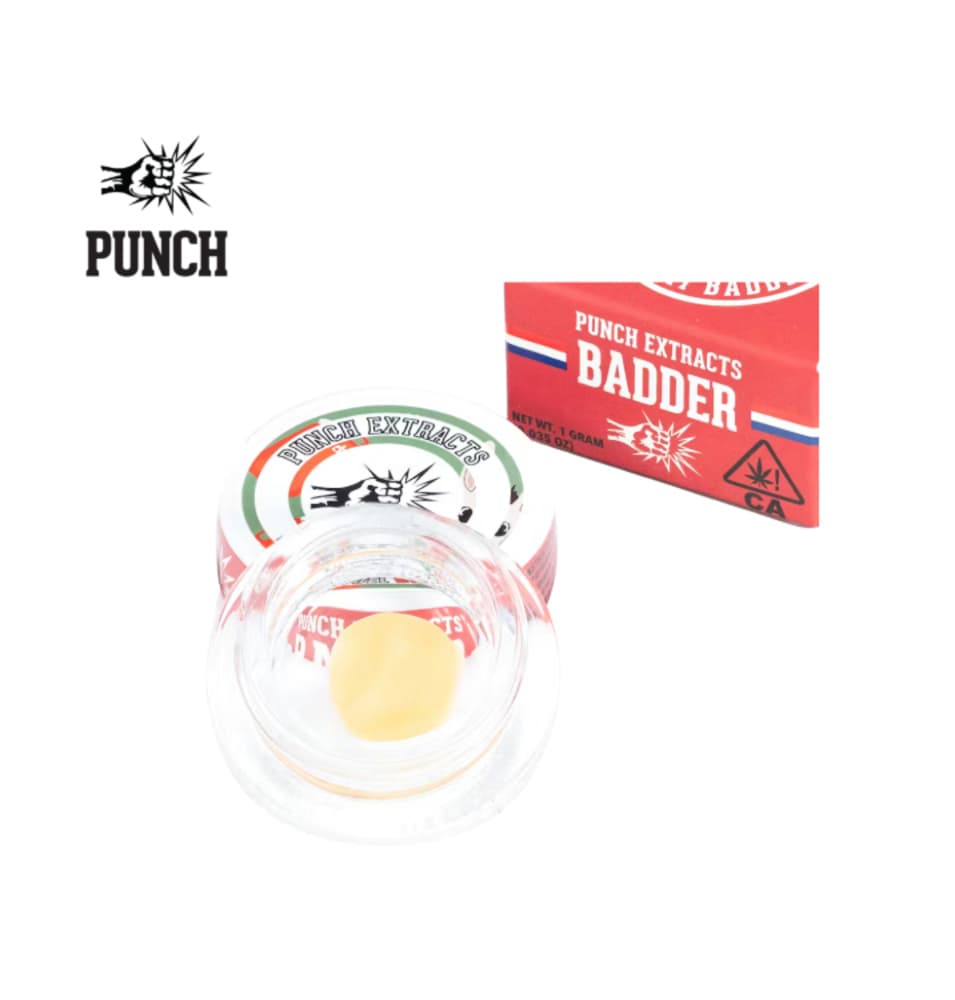 PUNCH Muel Fuel