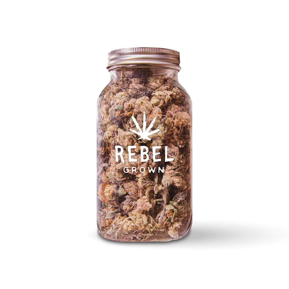 Rebel Grown Gaslight