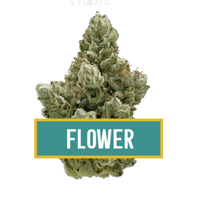 American Cannabis Outlet Amnesia Haze kpe