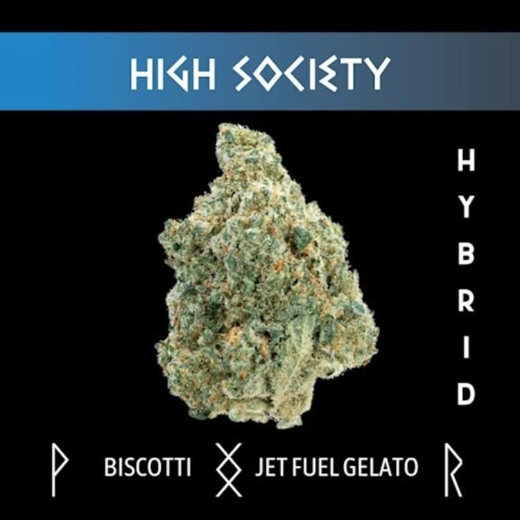 Viking Cannabis High Society