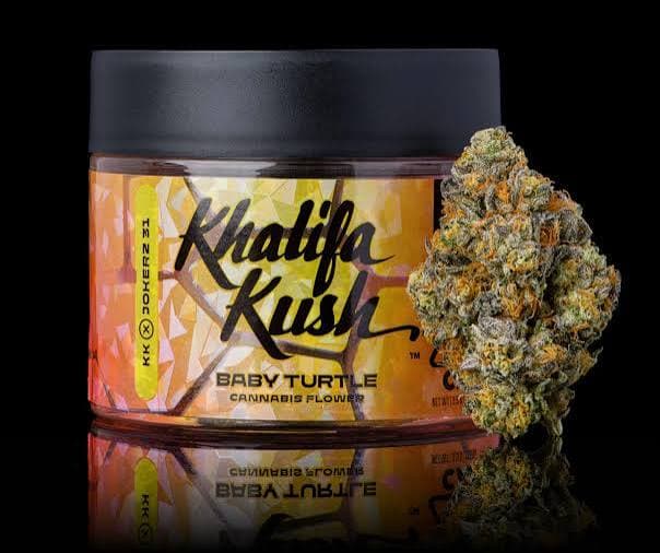 Khalifa Kush Baby Turtle