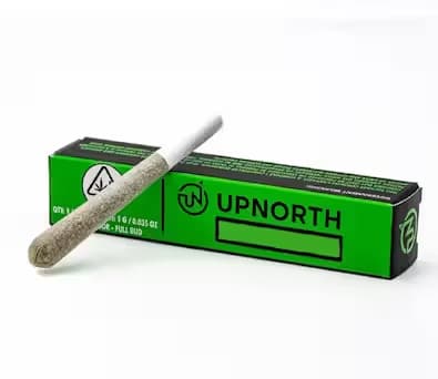UpNorth Flower