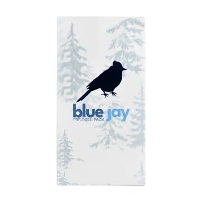 Blue Jay