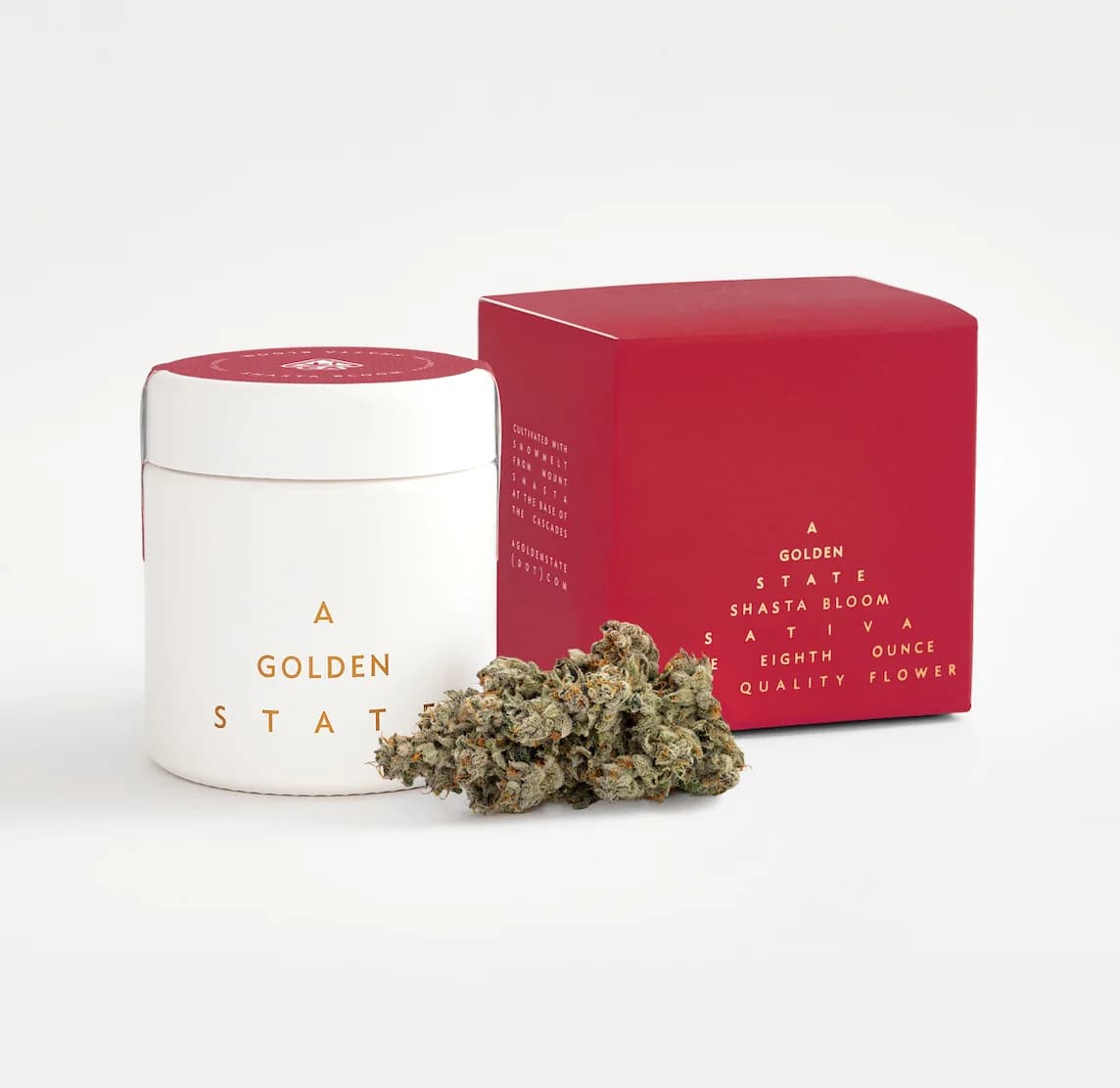 A Golden State Shasta Bloom