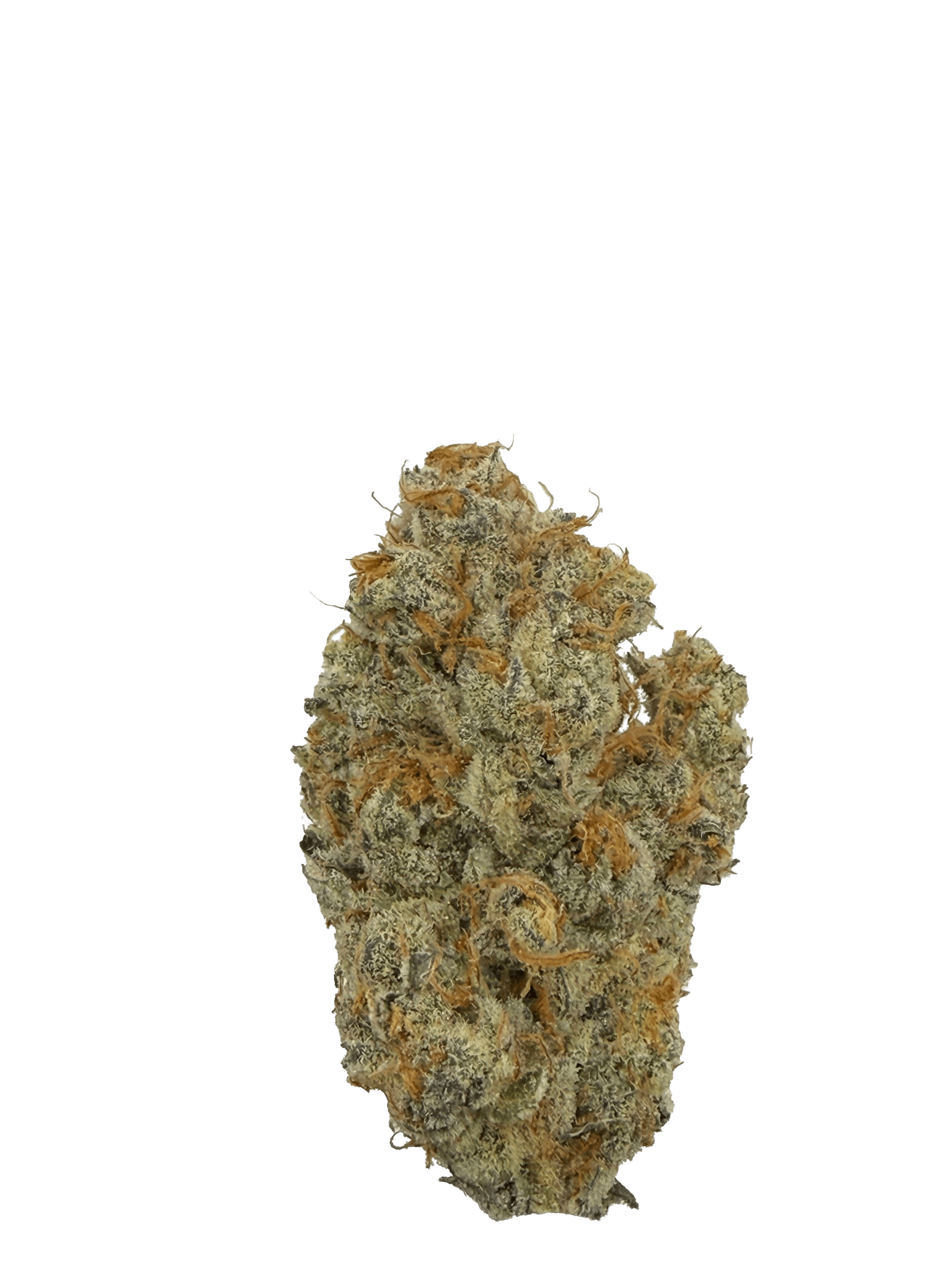 Orchard Pucker Up | 14g