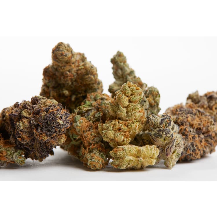 Sunleaf Romulan