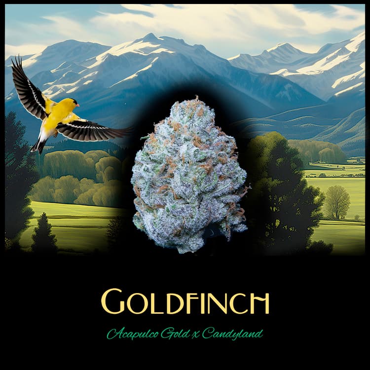 Deaux Deaux Flower Goldfinch 3.5g